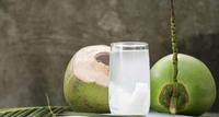 Groene Kokosnoot-Verse Jonge Brix 7 - 9 Hoogwaardige Oorsprong Ben Tre Viet Nam Exportproducten 100% Natuurlijke Zoete Kokosnoot