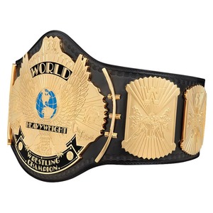 Gran oferta, cinturón de lucha personalizado, campeonato de lucha WWF de peso pesado mundial Popular, aleación de Zinc - Product Image 4
