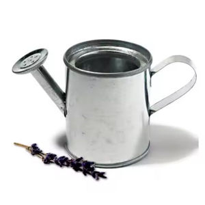 Bidon d'eau en acier inoxydable de qualité de luxe forme personnalisée plantes arrosoir pour l'utilisation de jardin pour les fournisseurs en gros - Product Image 4