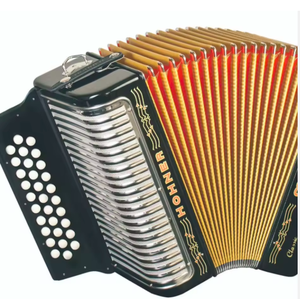 ACCORDÉON DIATONIQUE Hohner 3500FB Corona II 31 boutons FBbEB blanc de qualité supérieure avec sac et sangles - Product Image 2