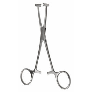 Pinza Veterinaria en Forma de T de Acero Inoxidable de Alta Calidad, Reutilizable para Ganado, Animales de Granja, Instrumento Quirúrgico Veterinario - Product Image 1
