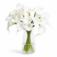 Hochwertige 8-stängige wasserdichte PU Calla-Lilien – Moderne Heim- & Hotel-Innendekoration, Abschlussfeier, 35 cm, realistische Kunstblumen