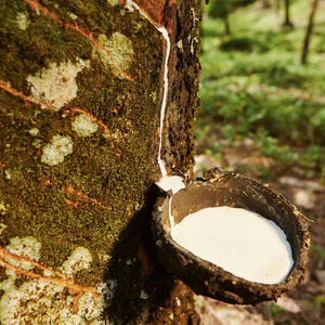 Prix bas Latex naturel de haute qualité Standard caoutchouc moulage qualité matières premières usine directe meilleur prix direct de la Thaïlande - Product Image 1