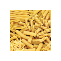 Macaroni Brésilien de Haute Qualité 1kg Instantané Pur Naturel Faible en Gras Sans Gluten Boîte de Pâtes / Échantillons Gratuits