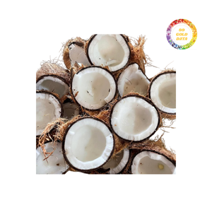 มะพร้าวสุกมีคุณภาพส่งออกที่มีปริมาณเนื้อสัตว์ขนาดใหญ่ในราคาต่ำสำหรับขายส่งและใช้แปรรูป - Product Image 5