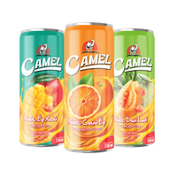 Fabrieksgroothandel 330ml Natuurlijk Mango Fruchtsap Aangepaste Privélabel Koolzuurhoudende Frisdranken Gezonde Fruitdrank ISO Verpakking
