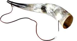 Corneta Decorativa para Aventuras al Aire Libre, Exhibiciones Culturales y Experiencias Sonoras Antiguas - Product Image 4