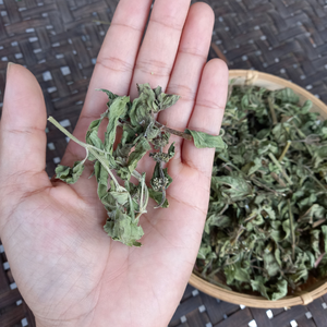 Hojas de menta verde liofilizadas de primera calidad, té de hojas sueltas con sabor a menta, hierba natural individual para preparar diariamente - Product Image 4