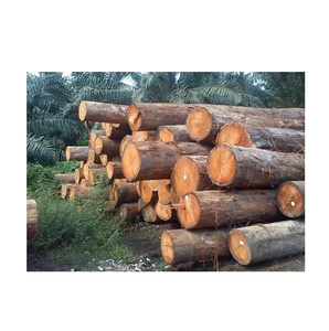 Troncos de madera Meranti-Natural y libre de químicos - Product Image 6