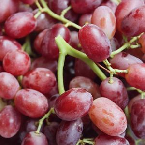 องุ่นไร้เมล็ดแดงสดพรีเมียม - คุณภาพส่งออกเกรด 1 - องุ่นหวานคุณภาพสูงสำหรับรับประทาน ขายส่ง - Product Image 2