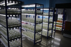 โมเดล ETCR-4R สำหรับห้องแล็ปต้นไม้เพาะเลี้ยงเนื้อเยื่อและเนื้อเยื่อของพืชเฟอร์นิเจอร์ห้องปลูกโลหะสไตล์อุตสาหกรรม - Product Image 6