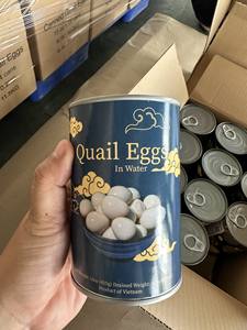 Vietnam exporta grandes cantidades de huevos de codorniz pelados empapados en latas de 15oz a los mejores precios - Product Image 5
