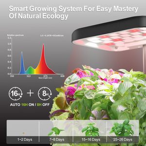 Pot intelligent avec système hydroponique intelligent, pot de fleurs pour plantes d'intérieur, lumière pour plantes, <span class=keywords><strong>pots</strong></span> de fleurs paresseux - Product Image 2