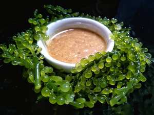 องุ่นเขียวสดจากสาหร่ายทะเลสาหร่ายทะเลอบแห้งตามธรรมชาติบรรจุในถุง - Product Image 2