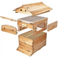 Ensemble complet de ruche à abeilles 7 pièces, ruche en bois à flux automatique, apiculture, ruche à abeilles avec flux de miel enduit de cire