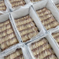Calmar séché du Vietnam de haute qualité et au meilleur prix