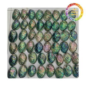 Concha de abulón pulida | Tamaño grande y colores agradables | Origen de Vietnam - Product Image 6