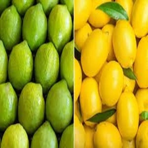 <b>Fresh</b> <b>Citrus</b> <b>Fruit</b> Including Lemon at Best Price - Product Image 1
