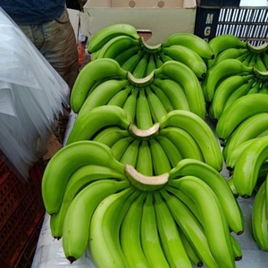 Plátanos Cavendish Frescos de Primera Calidad - Calidad de Exportación Clase I - Suministro a Granel - Product Image 6