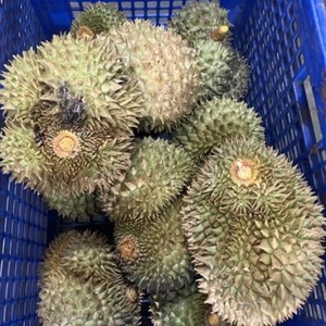 Durians frais de Thaïlande triés sur le volet parfaitement mûrs avec une saveur tropicale exotique crémeuse Meilleur du goût de la Thaïlande - Product Image 2