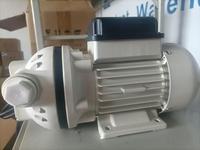 Pompes à vin 220v AC Distributeur pompe grand débit 40LPM transfert de produits chimiques Pompe industrielle huile moteur alcoolique 400w