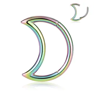 Wholesale Astm F136 Titanium Hinged Segment Hoop Ring Moon 16G 10 Mm Nose Conch Tragus Earring G23 Body Piercing Jewelry