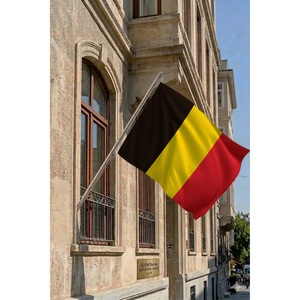 Ensemble de mât de drapeau télescopique belge, bannières en polyester à fixation murale, impression numérique, agences de voyage, automobile, éducation, assurance - Product Image 2