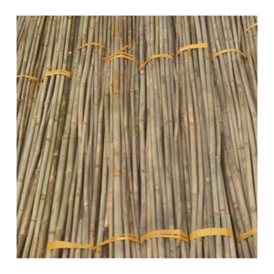 Cerca de bambú material de los postes de bambú sólidos naturales baratos para la construcción-poste de bambú Vietnam - Product Image 4