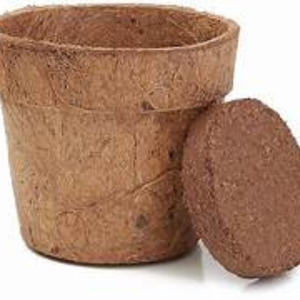 Ecocoir ถ้วยต้นกล้าเป็นมิตรกับสิ่งแวดล้อมถาดหม้อสำหรับการปลูกต้นกล้า - Product Image 6