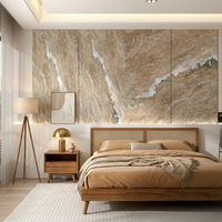 1220x3000mm Premium Modern WPC Inti Kristal Karbon Berdensitas Tinggi Tahan Api Tahan Lembab Ramah Lingkungan Desain Grafis Artistik
