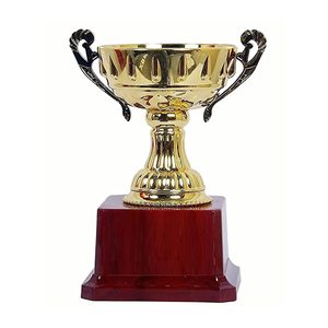 Tasses de trophée de trophée de récompense en métal en laiton/trophée de coupe de cricket de médaille d'honneur personnalisée en gros/sports du monde - Product Image 4