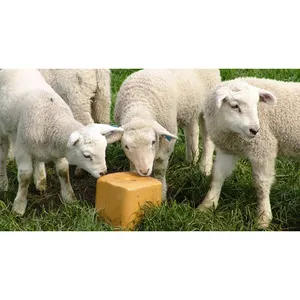 High Nutrition Mineral Mediterranean Salt Block Lick Stone for Animal Breed - Livestock Cattle Sheep - Molasses Licking Block