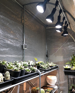 Ampoule LED de culture COB en aluminium 30W/35W PAR38, spectre complet, lumière pour plantes, culot E26/E27, pour plantes d'intérieur, hydroponie, semis - Product Image 5