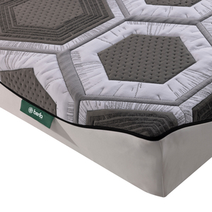 Protector de tela para colchón de cama antiinsectos avanzado confiable contra picaduras de plagas con cubierta extraíble para dormir sin plagas en apartamentos - Product Image 4