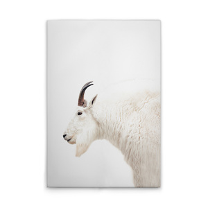 Made In Germany - Home Decor Canvas <b>Picture</b> Animals Goat - <b>Wall</b> Mural In White And Cream - Canvas <b>Picture</b> On Stretcher Frame - Product Image 1