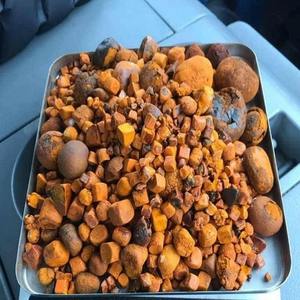 Cálculos Biliares Bovinos de Alta Calidad del Mejor Fabricante, Extracto de Bilis de Vaca Rico en Proteínas para Aplicaciones Cosméticas - Product Image 3