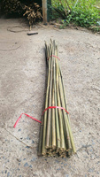 2025 Poteaux de bambou de haute qualité HD Farm Matières premières de bambou de qualité du Vietnam