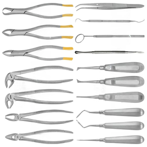 Nuevo juego de instrumentos de cirugía oral dental Premium de 17 piezas de acero alemán Premium incluye sondas de fórceps elevadores Espejos; Manual - Product Image 4