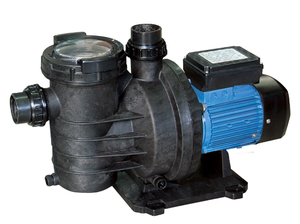 Pompa per piscina autoadescante monofase SFCP-600 1 HP. - Product Image 1