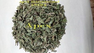 Feuilles de menthe séchées, Mentha arvensis, feuilles de menthe déshydratées, fournisseur de feuilles de menthe séchées, exportateur de feuilles de menthe séchées - Product Image 3