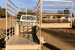 Remolque de Doble Eje con Volquete Personalizable en Carga y Tamaño para Transporte de Ganado y Utilidades - Product Image 2