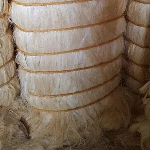 Qualité d'exportation UG et SSUG Fibre de sisal naturelle.