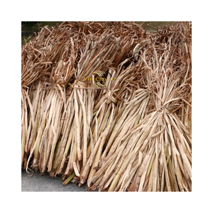 Fibra natural cruda de jacinto de agua, material ecológico para tejer y fabricar - Product Image 5