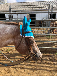 Velo de mosca de caballo personalizado de alta calidad, capó de oreja, Color azul, producto de equitación ecuestre con todos los diseños disponibles - Product Image 3