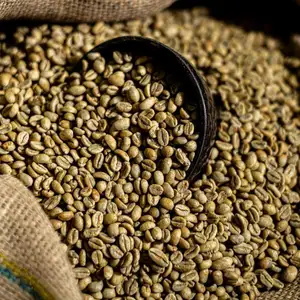 Biji kopi hijau Arabika 60 KG jaring Kolombia kopi/beli biji kopi Premium ARABICA Colombia pasokan besar