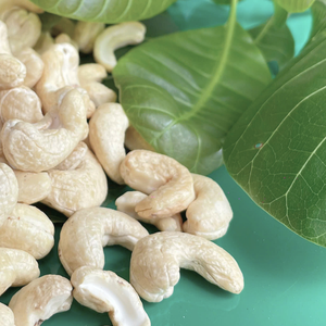 ถั่วเม็ดมะม่วงหิมพานต์แบบเวียดนามมีฉลากส่วนตัว - Product Image 1
