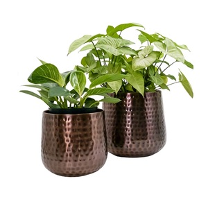 Maceta de metal con acabado de latón antiguo con diseño clásico para interiores de casas elegantes, forma y tamaño personalizados a bajo precio - Product Image 6