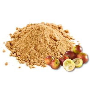 Polvo de Fruta de Camu Camu Peruano Puro al por Mayor, Alto en Vitamina C, Superalimento Orgánico, Materia Prima Exportada por Agrilatin SAC - Product Image 1