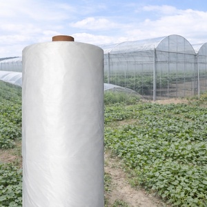 250 Micron UV Stabilized Blow Molding Greenhouse Plastic <strong>Film</strong> for Agricultural Greenhouse Covering and Outdoor Use - Product Image 1