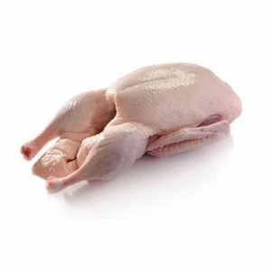 Dinde halal congelée de qualité supérieure, volaille entière pour l'exportation, approvisionnement en vrac auprès d'un producteur certifié, expédition directe de l'usine - Product Image 5
